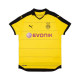 2015/16 Borussia Dortmund Home Kit (XL)