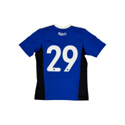 2015/16 Copenhagen Away Kit (M)
